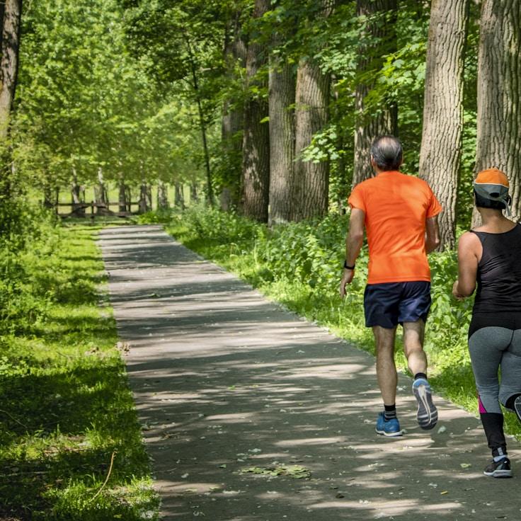 Fitness habits and consistency planning